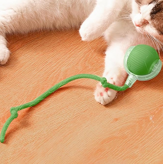 Bola Caça Interativa Eletrônica para Gatos