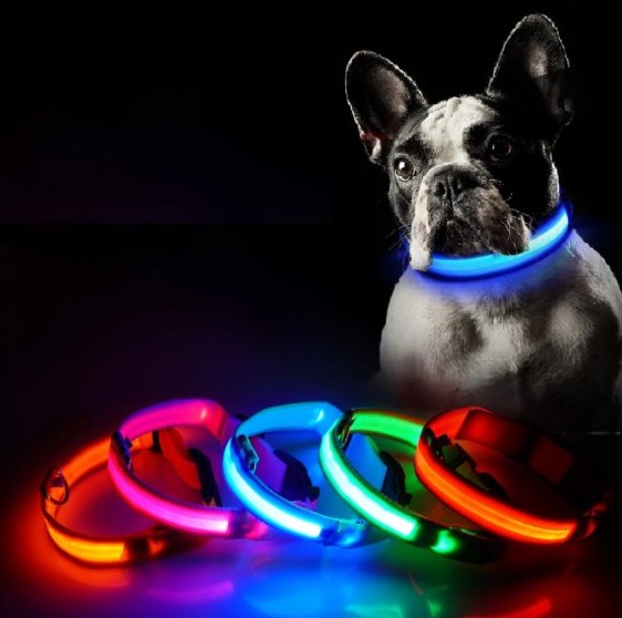 Colar Iluminado Led para Cães