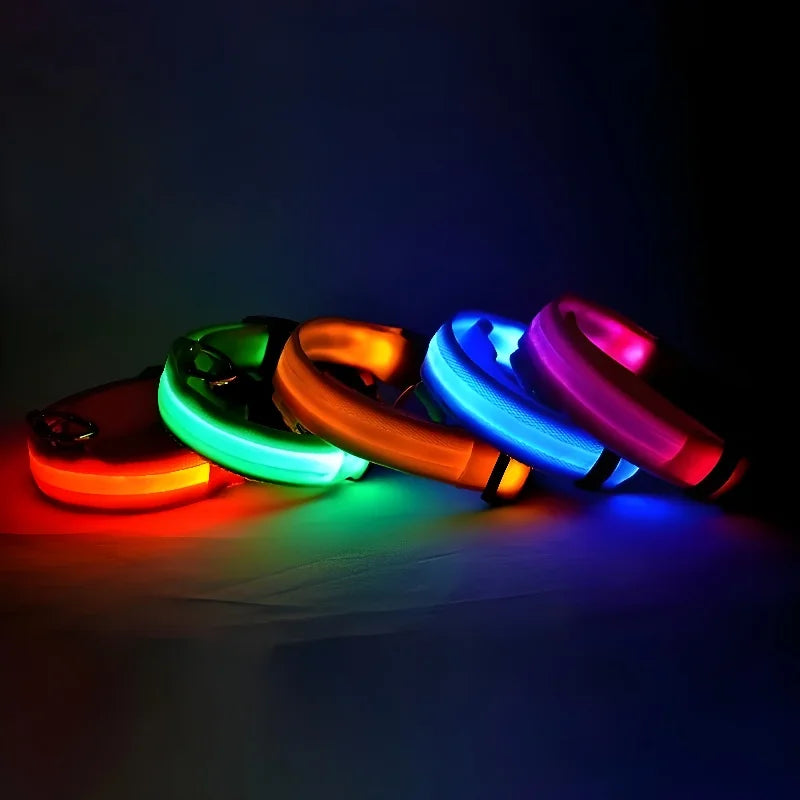Colar Iluminado Led para Cães