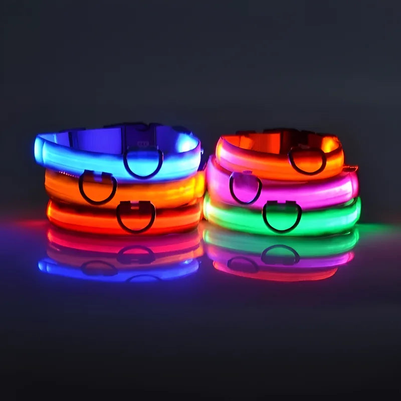 Colar Iluminado Led para Cães