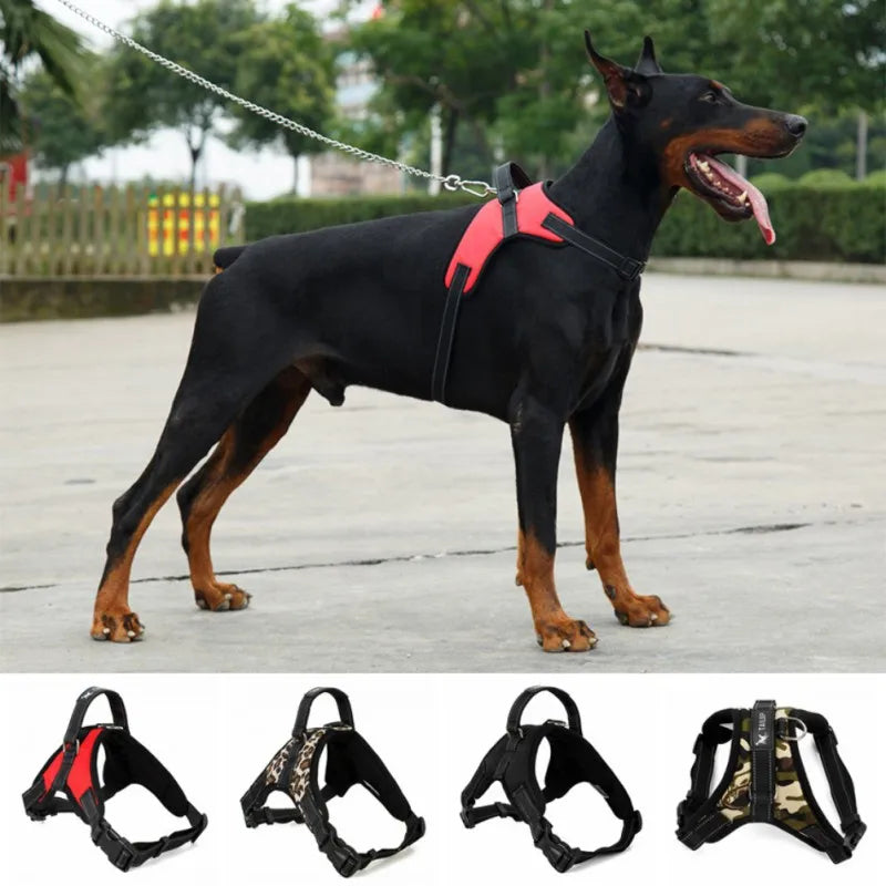 Coleira Peitoral Ajustável para Cães - Médio e Grande Porte