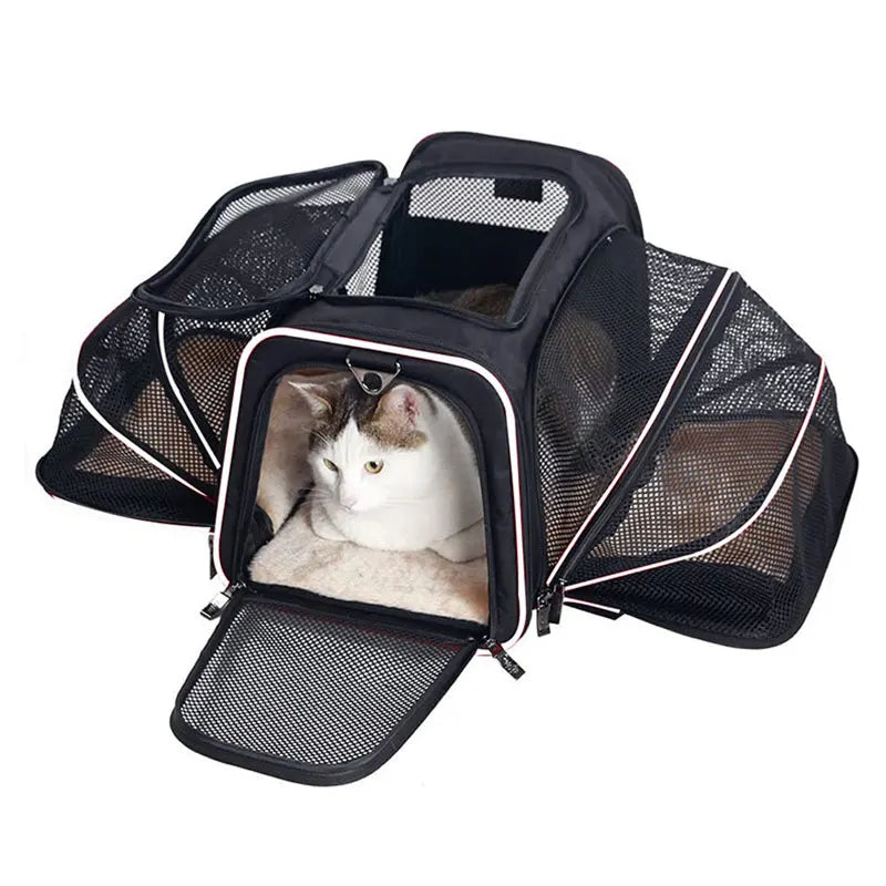 Bolsa de mão, expansiva e respirável para cães e gatos, para viagens incluindo cabine de avião.