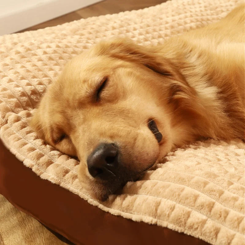 Cama Colchonete Almofadada - Tamanho até XXXG