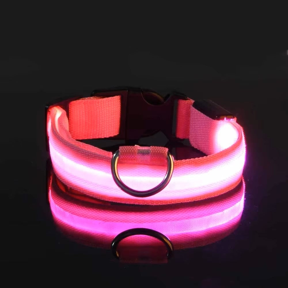 Colar Iluminado Led para Cães